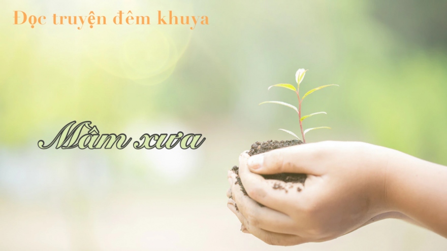 Truyện ngắn “Mầm xưa” - Quả ngọt hôm nay